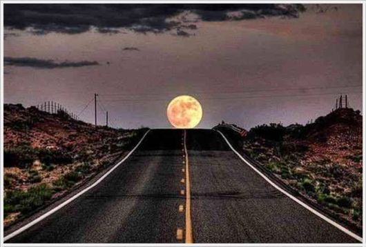 List Of The Most funnypics Shoplifted Items